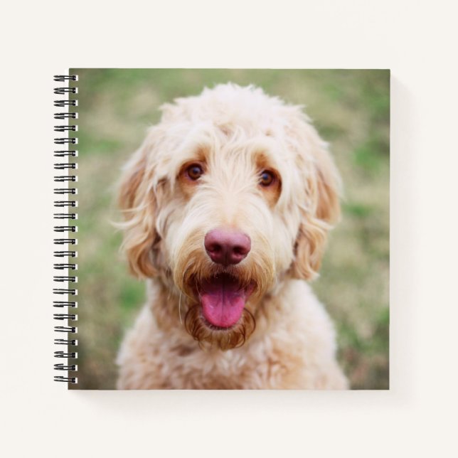 Cuaderno Goldendoodle Smiling (Anverso)