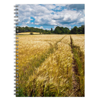 Cuaderno Goldenes Weizenfeld im Herbstlicht