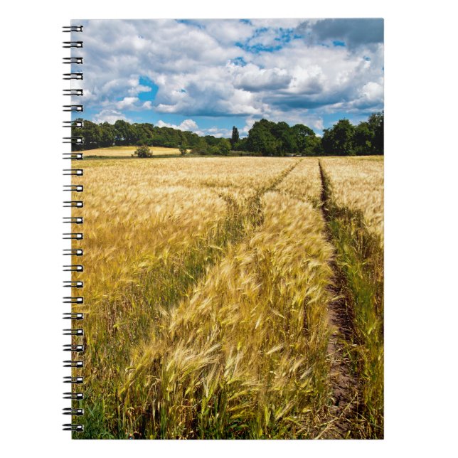 Cuaderno Goldenes Weizenfeld im Herbstlicht (Frente)