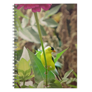 Cuaderno Goldfinch