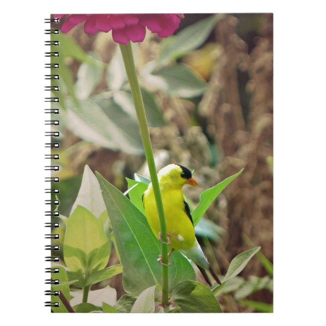 Cuaderno Goldfinch (Frente)