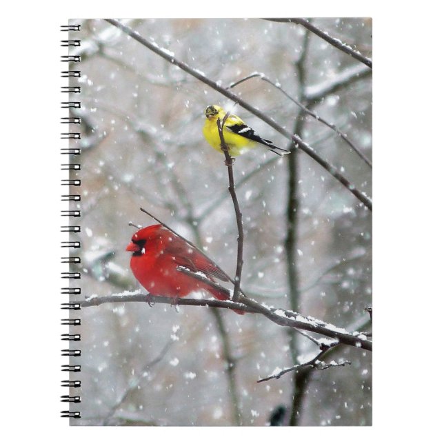 Cuaderno Goldfinch Y Cardinal (Frente)