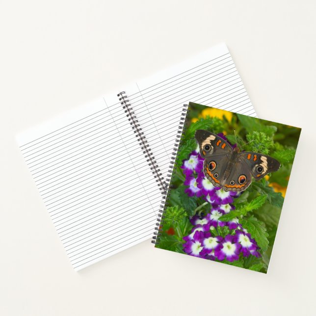 Cuaderno Golondrina de cola negra (Interior)