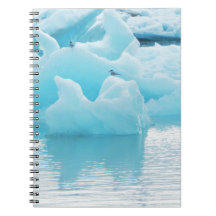 Golondrinas de mar de Jökulsárlón