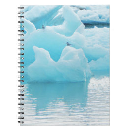 Cuaderno Golondrinas de mar de Jökulsárlón