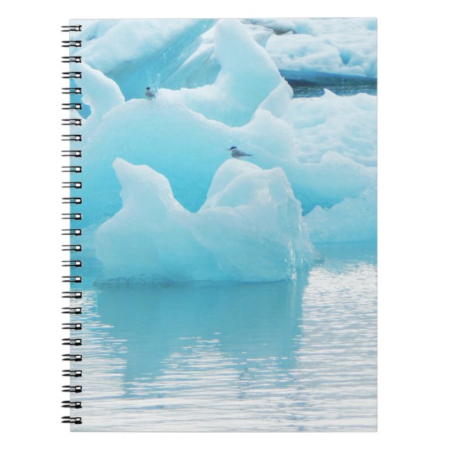 Cuaderno Golondrinas de mar de Jökulsárlón (Frente)
