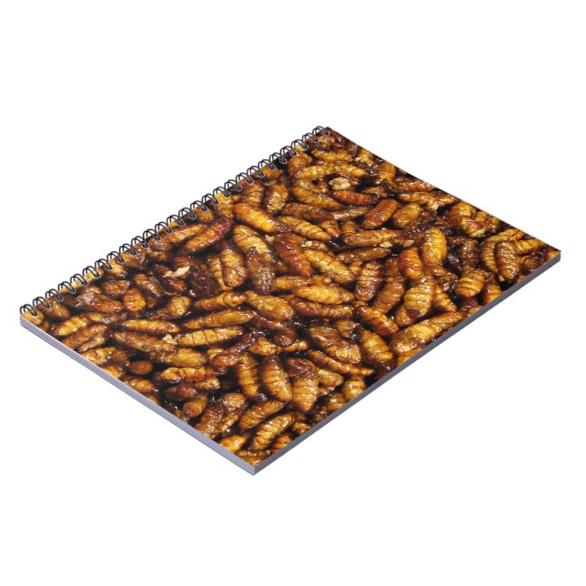 Cuaderno Gomas de seda fritas... Comida callejera tailandes (Lado Izquierdo)