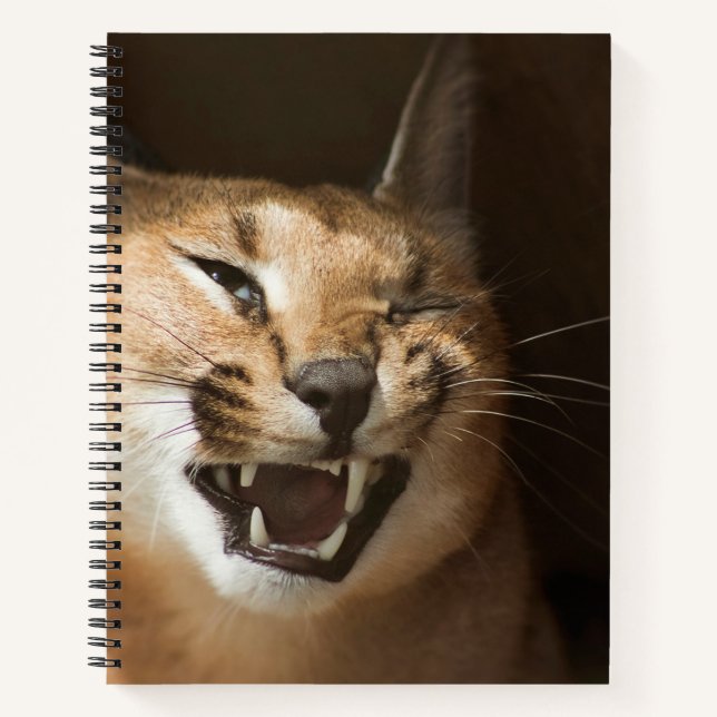 Cuaderno Goofy Lynx (Anverso)