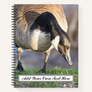 Cuaderno Goos de Canadá