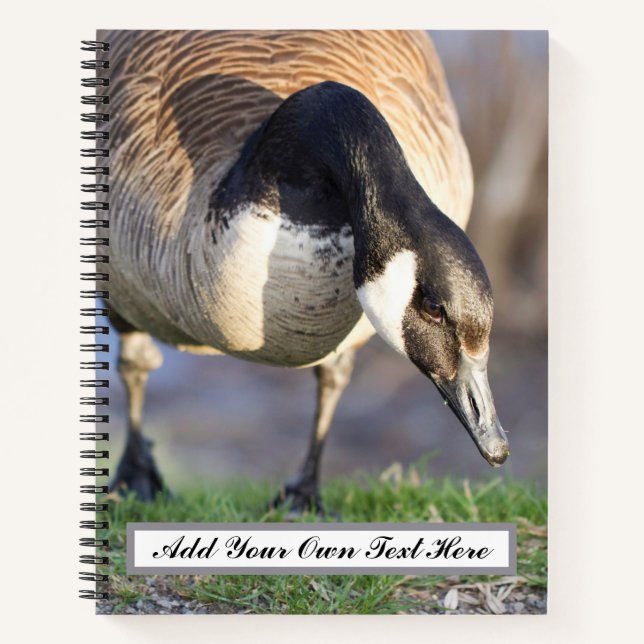 Cuaderno Goos de Canadá (Anverso)