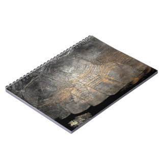 Cuaderno Gopher Tortoise Shell