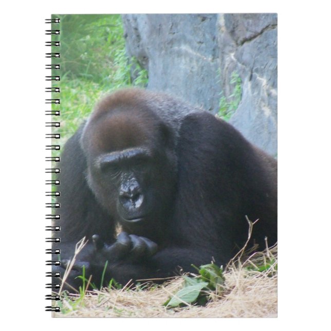 Cuaderno Gorila negra (Frente)
