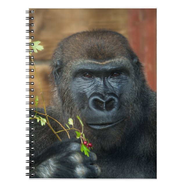Cuaderno Gorila Y Sus Berries (Frente)