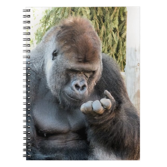 CUADERNO GORILLA (Frente)