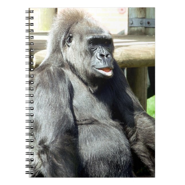 CUADERNO GORILLA (Frente)
