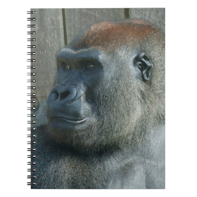 Cuaderno Gorilla Lope (Frente)