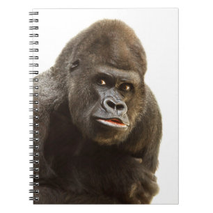 Cuaderno Gorilla Pout