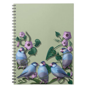 Cuaderno gorriones de Java