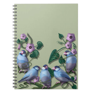 Cuaderno gorriones de Java 