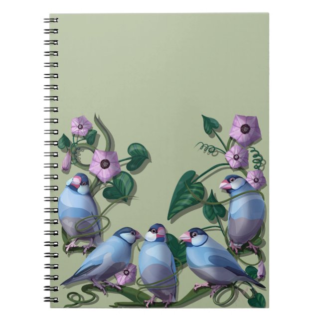 Cuaderno gorriones de Java  (Frente)