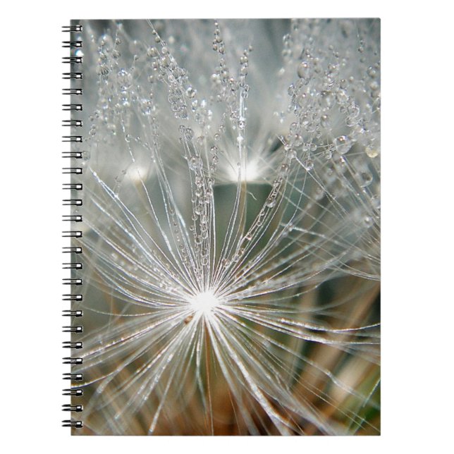 Cuaderno Gotas de agua brillantes sobre un diente de león b (Frente)