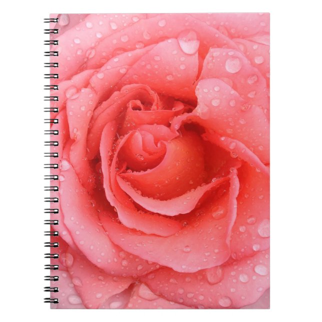 Cuaderno Gotas de agua de rosa roja romántica (Frente)