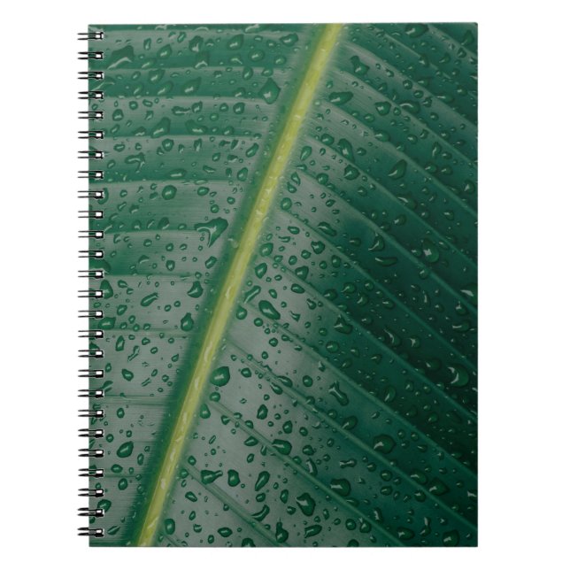 Cuaderno Gotas de agua en hojas de banano (Frente)