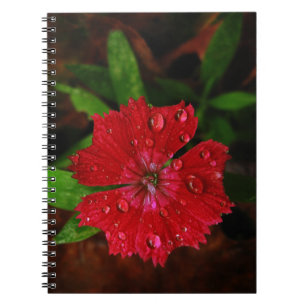 Cuaderno Gotas de agua preciosas en la foto roja de la flor