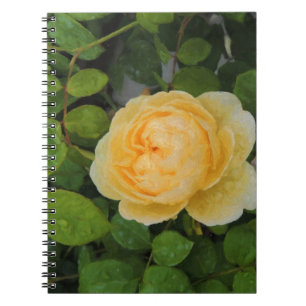 Cuaderno Gotas de lluvia en rosa amarillo