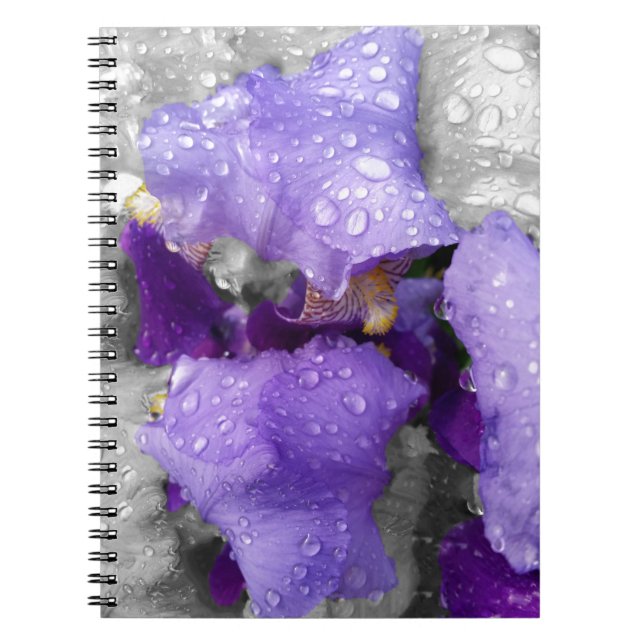 Cuaderno gotas de lluvia sobre el iris (Frente)