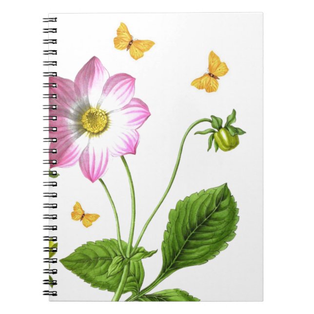 Cuaderno Gracia (Frente)