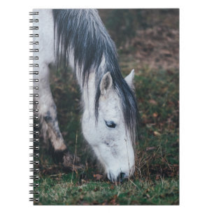 CUADERNO GRACIAS AL CABALLO GRIS EN UN DÍA DE OTOÑO