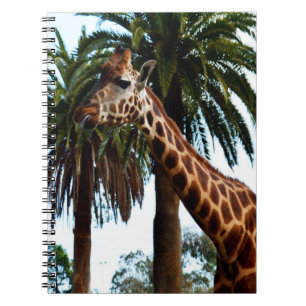 Cuaderno Graciosa Giraffe Raspberry,