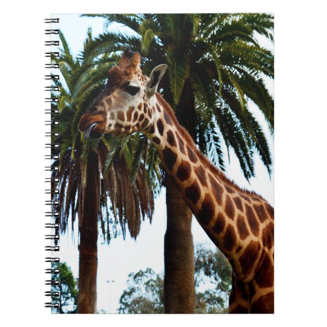 Cuaderno Graciosa Giraffe Raspberry, (Frente)