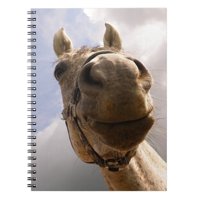 Cuaderno Graciosa Nariz Gris De Caballo Cerca (Frente)