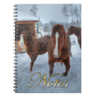 Cuaderno Gracioso Stallion Amoroso y reticentes caballos ma