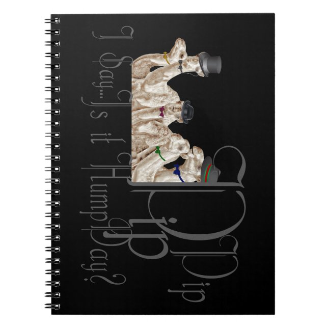 Cuaderno Graciosos camellos de día jorobado en Monocles (Frente)