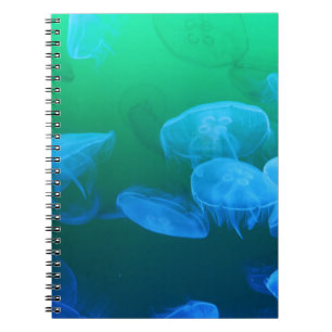 Cuaderno Gradiente azul verde de la medusa de Guay