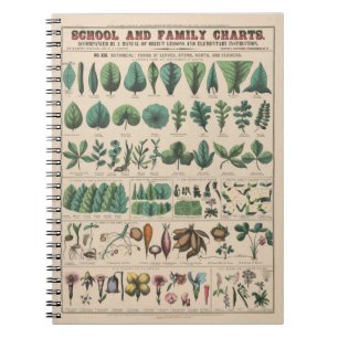 Cuaderno Gráfico Antiguo de la Escuela Botánica Naturaleza