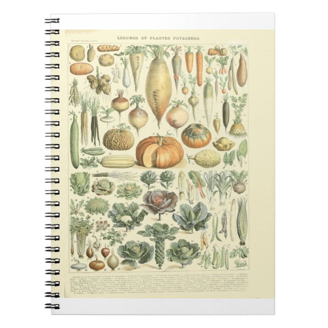 Cuaderno Gráfico de identificación vegetal (Frente)
