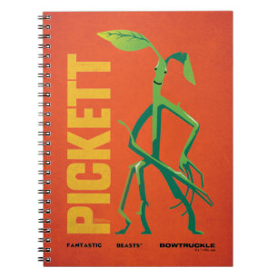 Cuaderno Gráfico de la época de Pickett