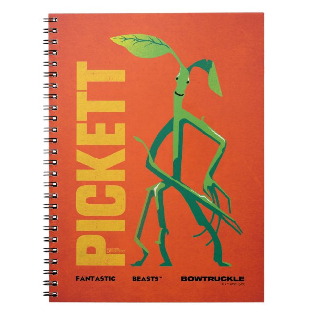 Cuaderno Gráfico de la época de Pickett (Frente)