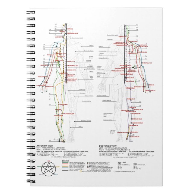Cuaderno Gráfico de meridianos humanos (Frente)