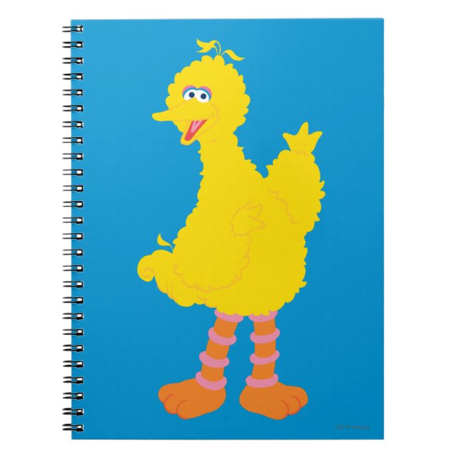 Cuaderno Gráfico de Pájaro Grande (Frente)