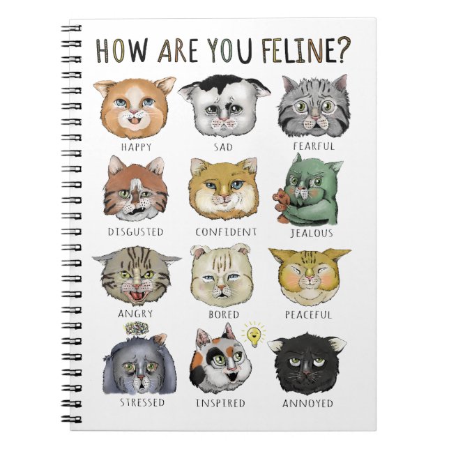 Cuaderno Gráfico Divertido de Sentimientos de Gatos ¿Cómo t (Frente)