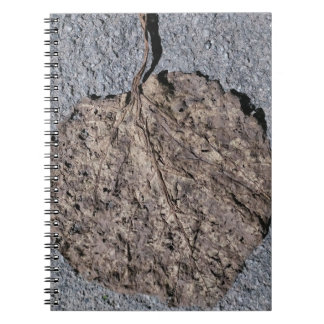 Cuaderno Gráficos/Texturizados