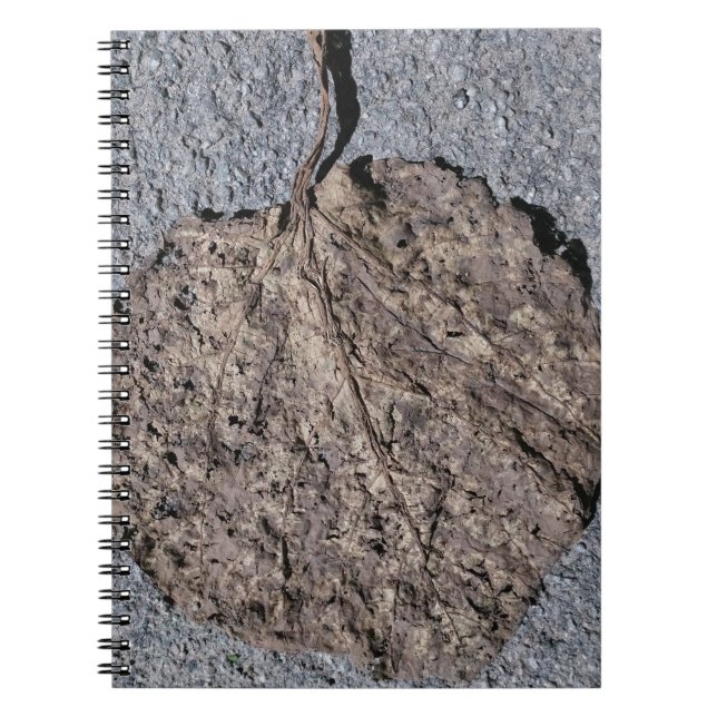 Cuaderno Gráficos/Texturizados (Frente)