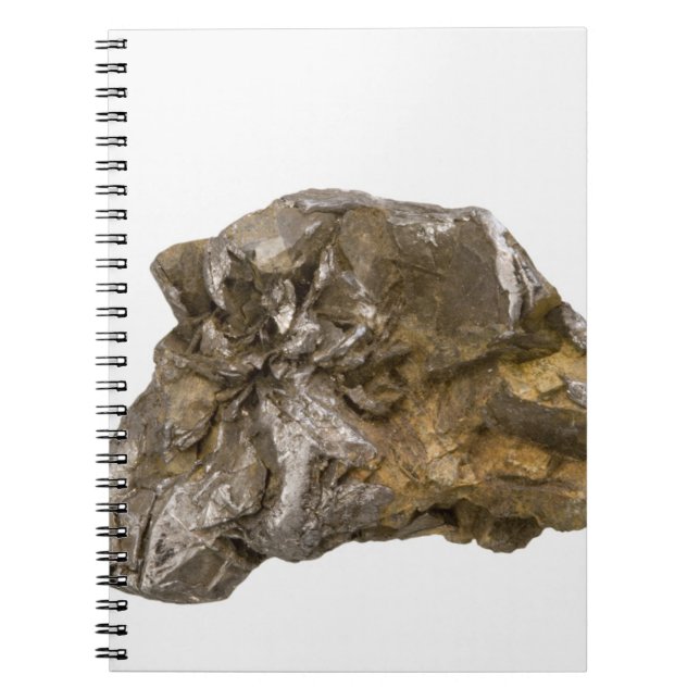 Cuaderno Grafito, Danville, Vermont, los E.E.U.U. (Frente)