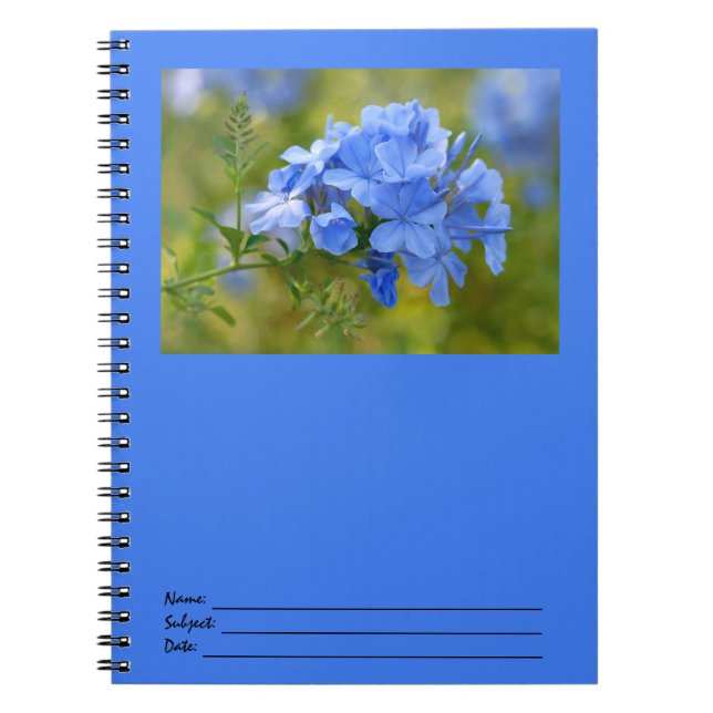 Cuaderno Grafito - imagen azul de las flores del verano (Frente)