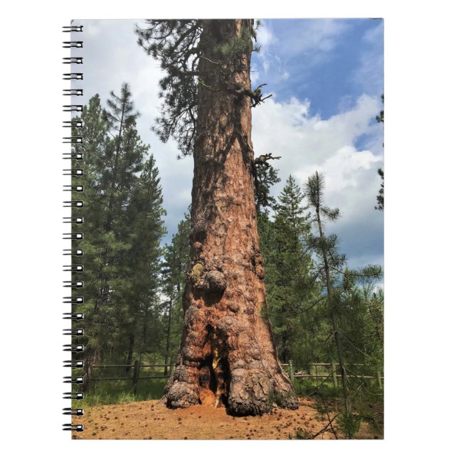 Cuaderno Gran árbol rojo, La Pine, OR (Frente)